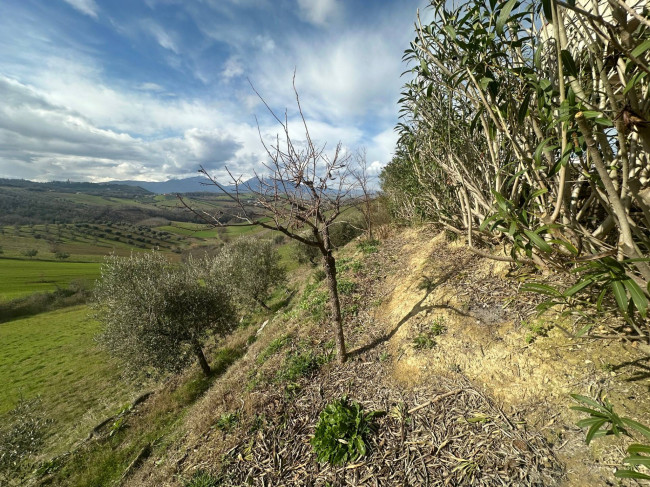 Villa in vendita a Bellante