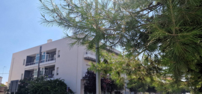 Appartamento in vendita a Giulianova