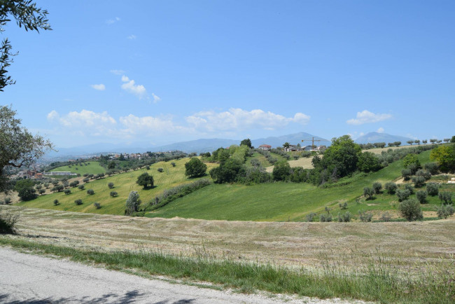 Rustico in vendita a Bellante