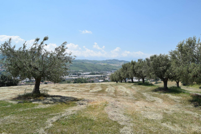 Rustico in vendita a Bellante