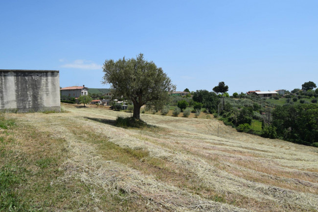 Rustico in vendita a Bellante