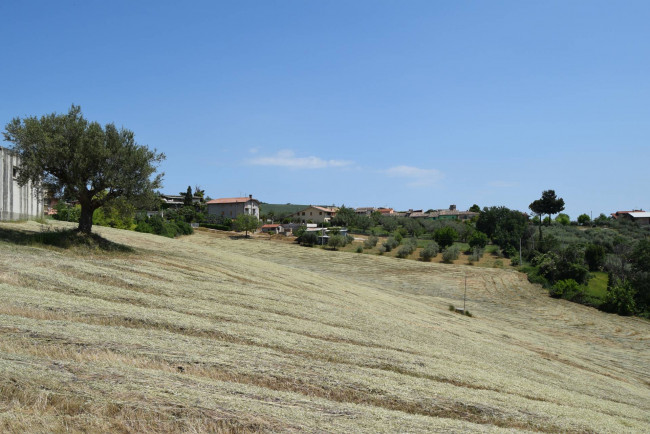 Rustico in vendita a Bellante