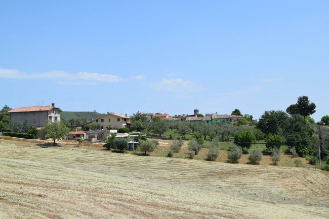 Rustico in vendita a Bellante
