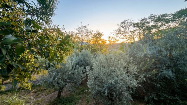 Appartamento in vendita a Notaresco