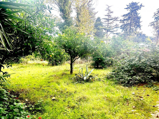 Appartamento in vendita a Fondi