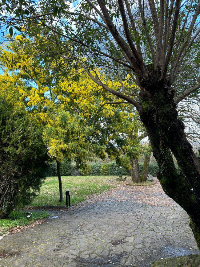 Villa in vendita a Patrica