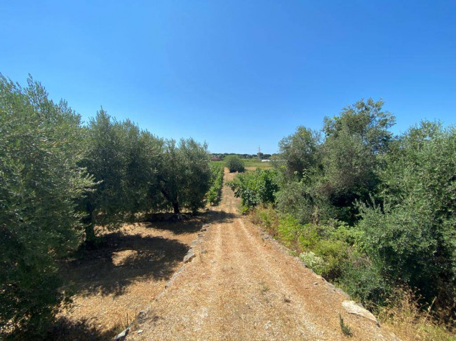 Terreno Agricolo in vendita a Terracina
