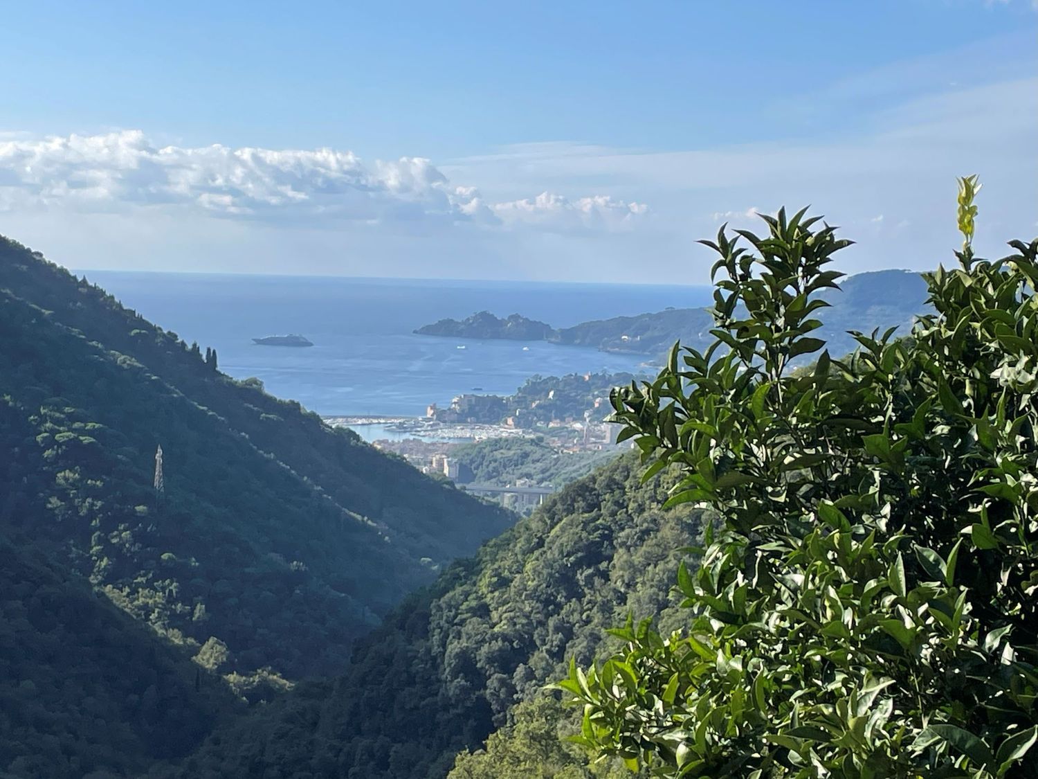 Rustico/Casale a Rapallo