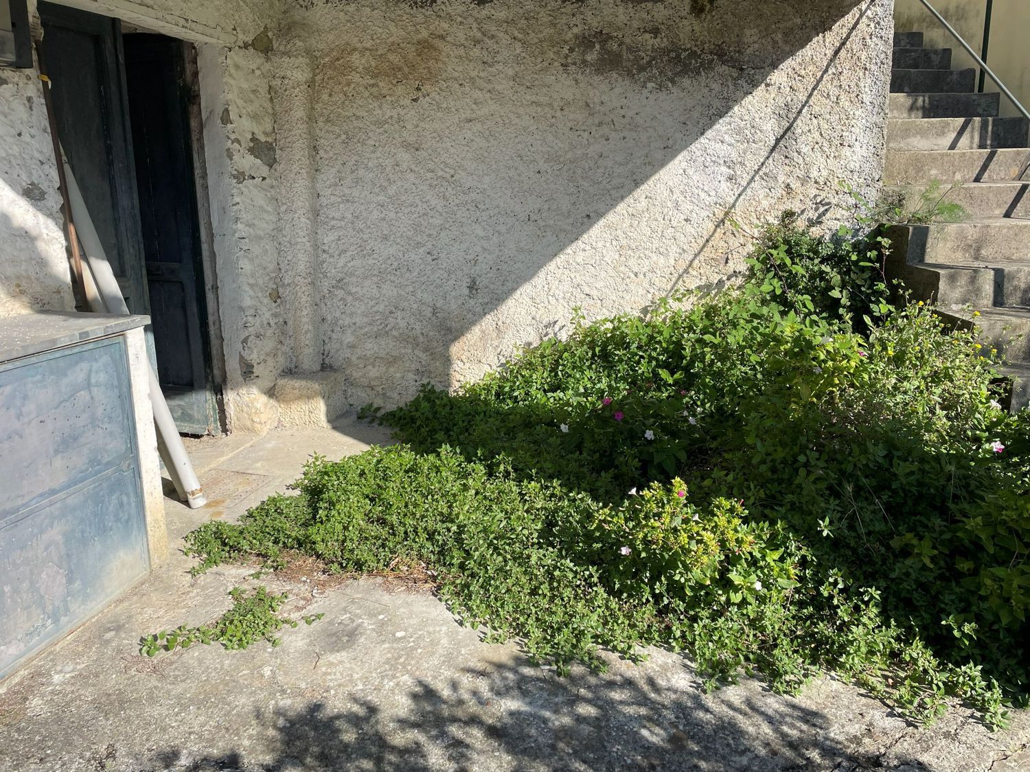 Rustico/Casale in vendita a Rapallo - foto 5
