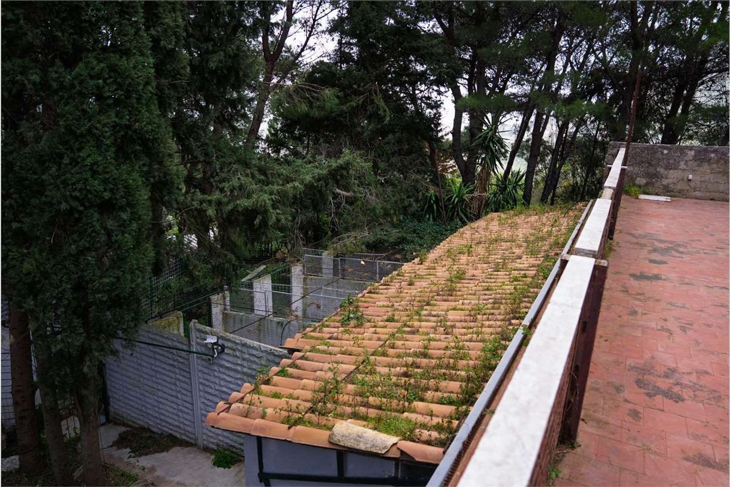 Villa in vendita a Montelepre - foto 10