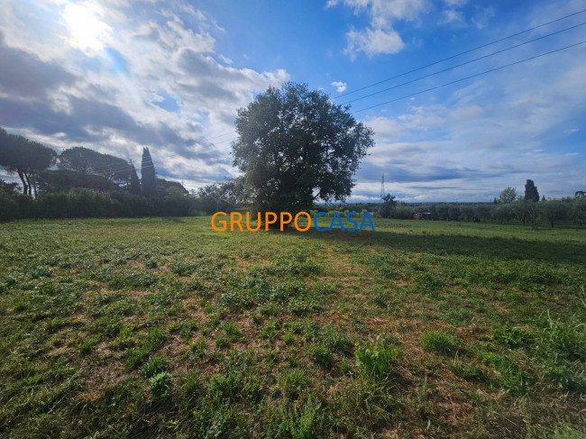 Terreno Agricolo in Vendita a Montecarlo