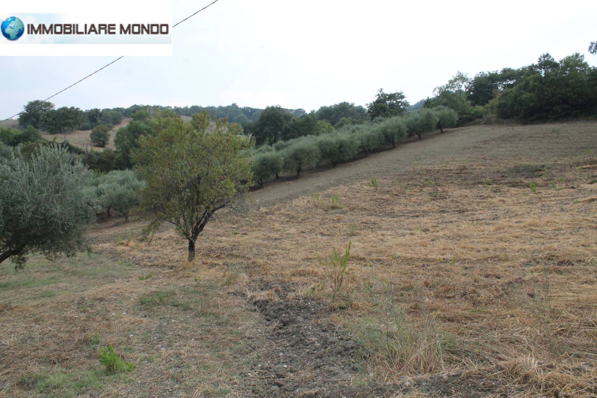 Rustico - Cascina GUARDIALFIERA vendita    Immobiliare Mondo