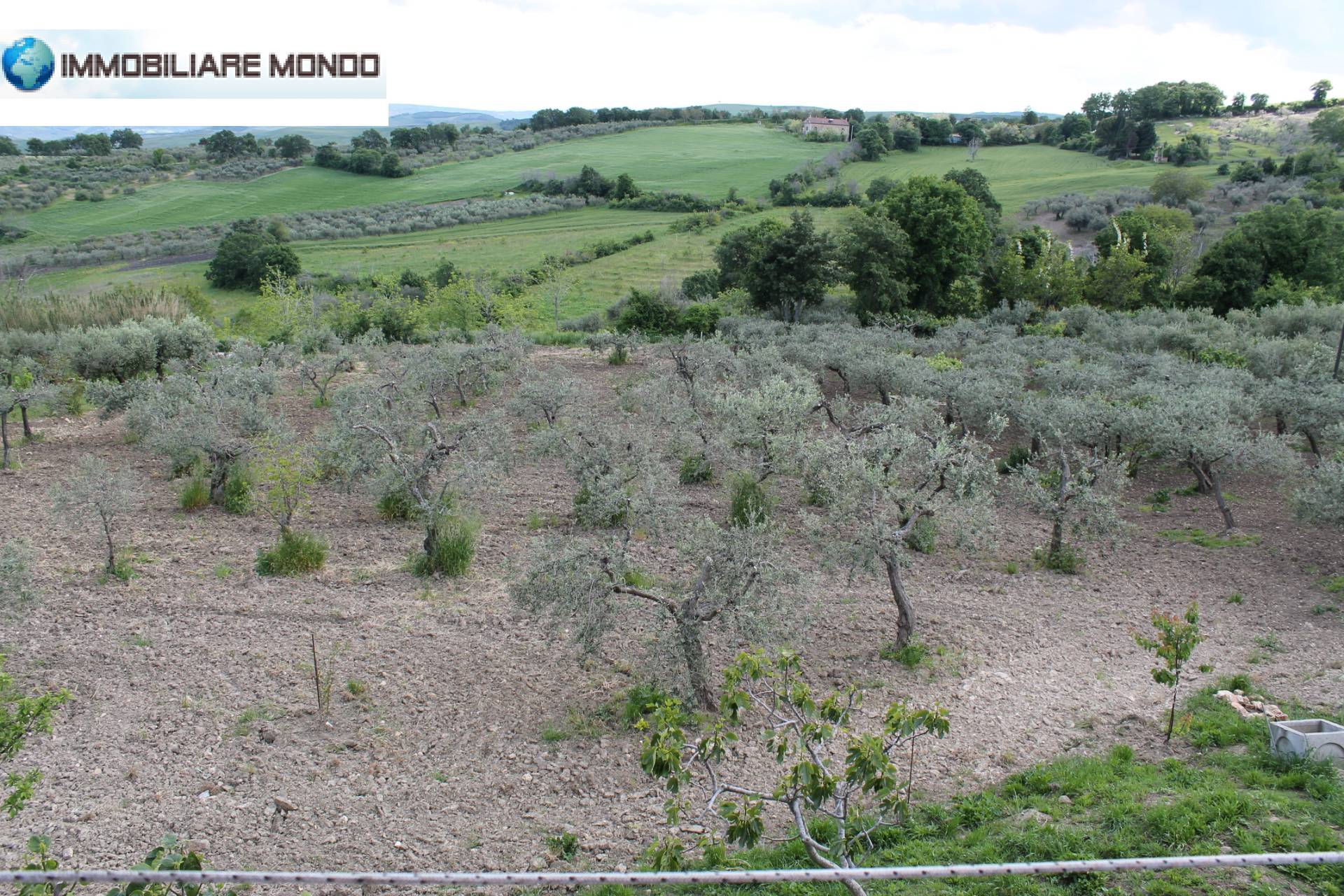 Rustico - Cascina SANTA CROCE DI MAGLIANO affitto    Immobiliare Mondo