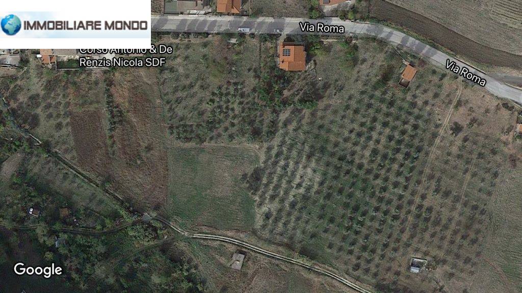 Terreno agricolo in vendita a Castelbottaccio (CB)