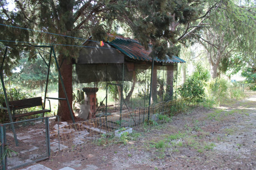 Casa indipendente in affitto a Termoli (CB)