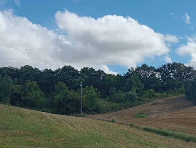 Terreno Agricolo a Termoli