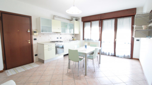 ( 1 Camera ) BILOCALE o MONOLOCALE in affitto a Cento