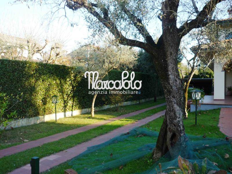 Villa FORTE DEI MARMI affitto  Centro  Agenzia Immobiliare Marco Polo