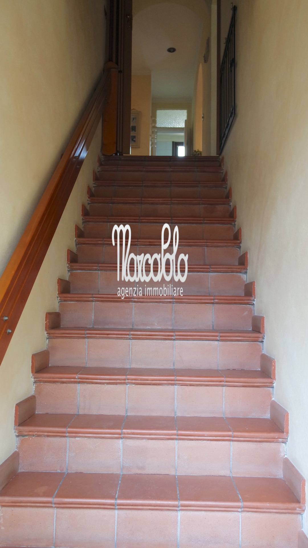 Appartamento FORTE DEI MARMI affitto  Centro  Agenzia Immobiliare Marco Polo