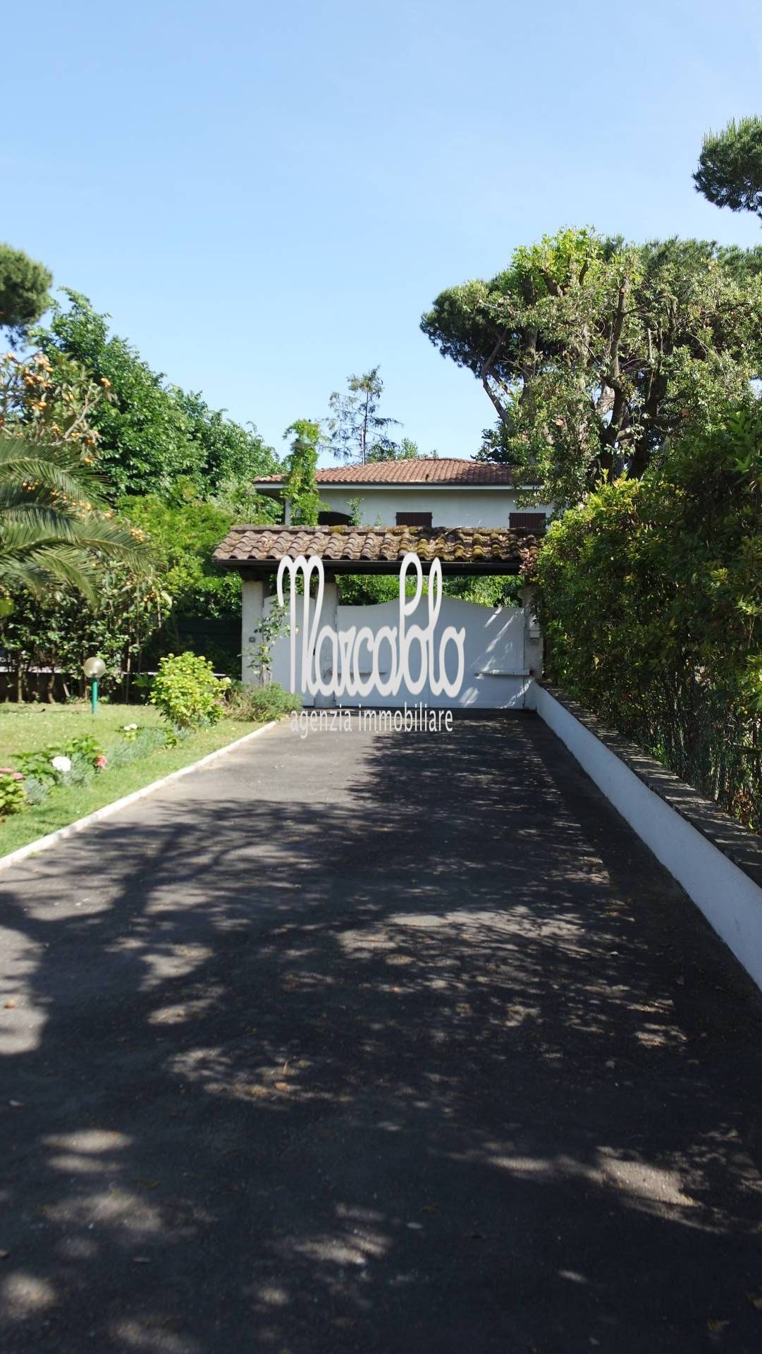 Villa FORTE DEI MARMI affitto  Vittoria Apuana  Agenzia Immobiliare Marco Polo