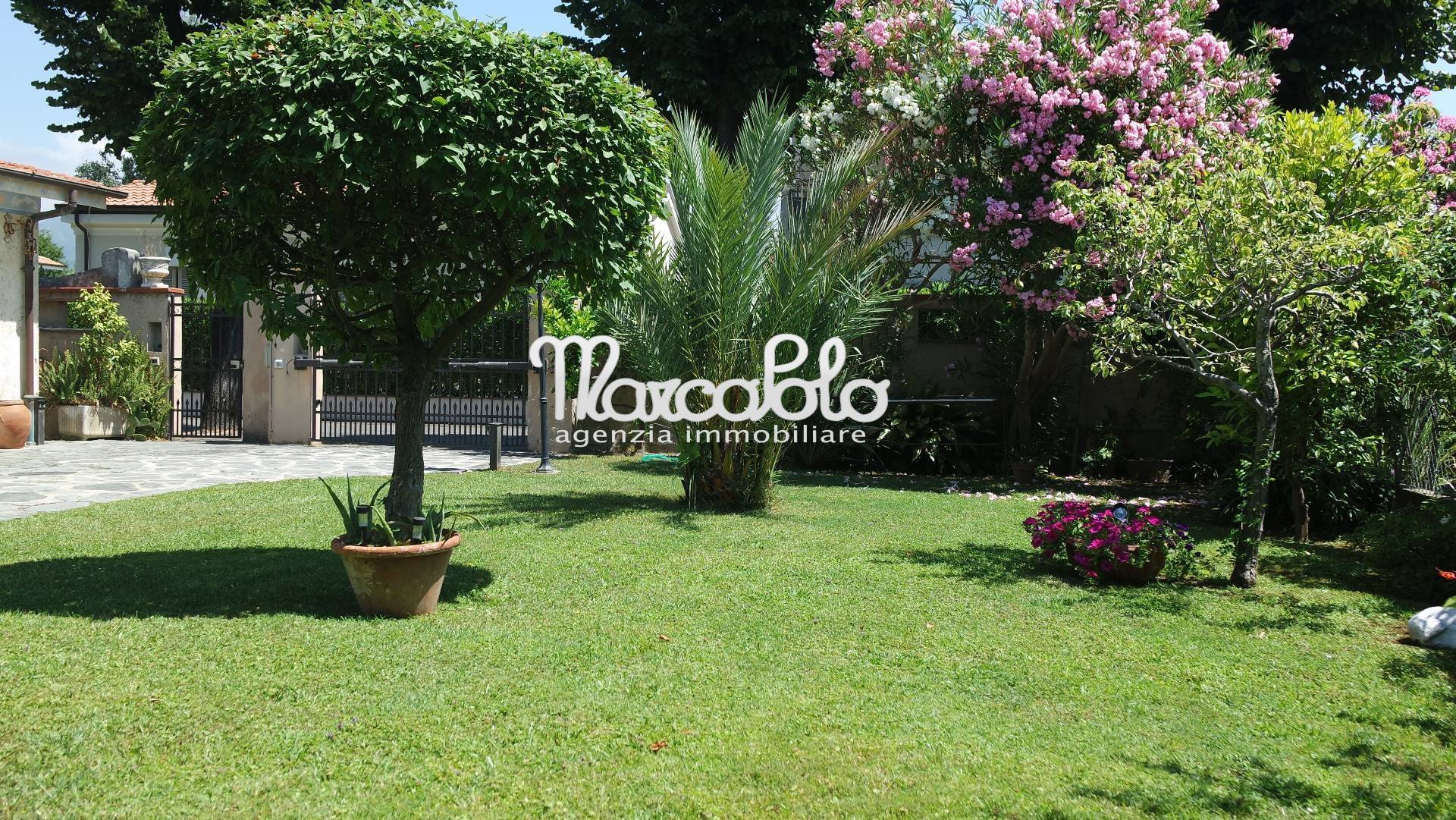 Villa FORTE DEI MARMI affitto  Centro  Agenzia Immobiliare Marco Polo