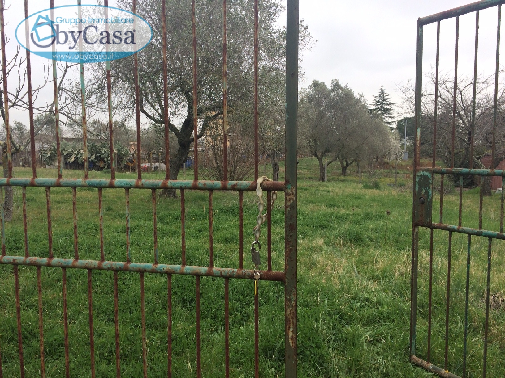 Terreno ROMA vendita  Cesano  Agenzia OBYCASA di Cerenova