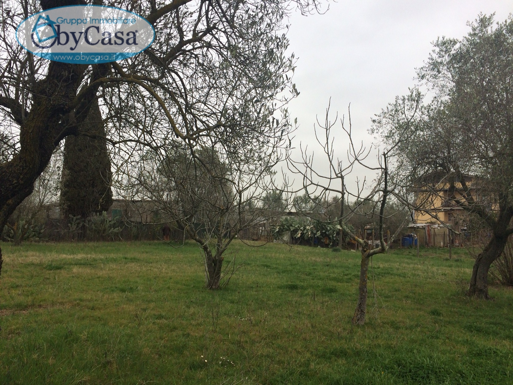 Terreno ROMA vendita  Cesano  Agenzia OBYCASA di Cerenova