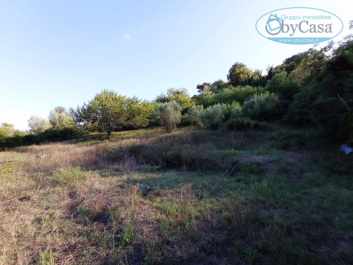 Terreno agricolo in vendita a Centro, Bracciano (RM)