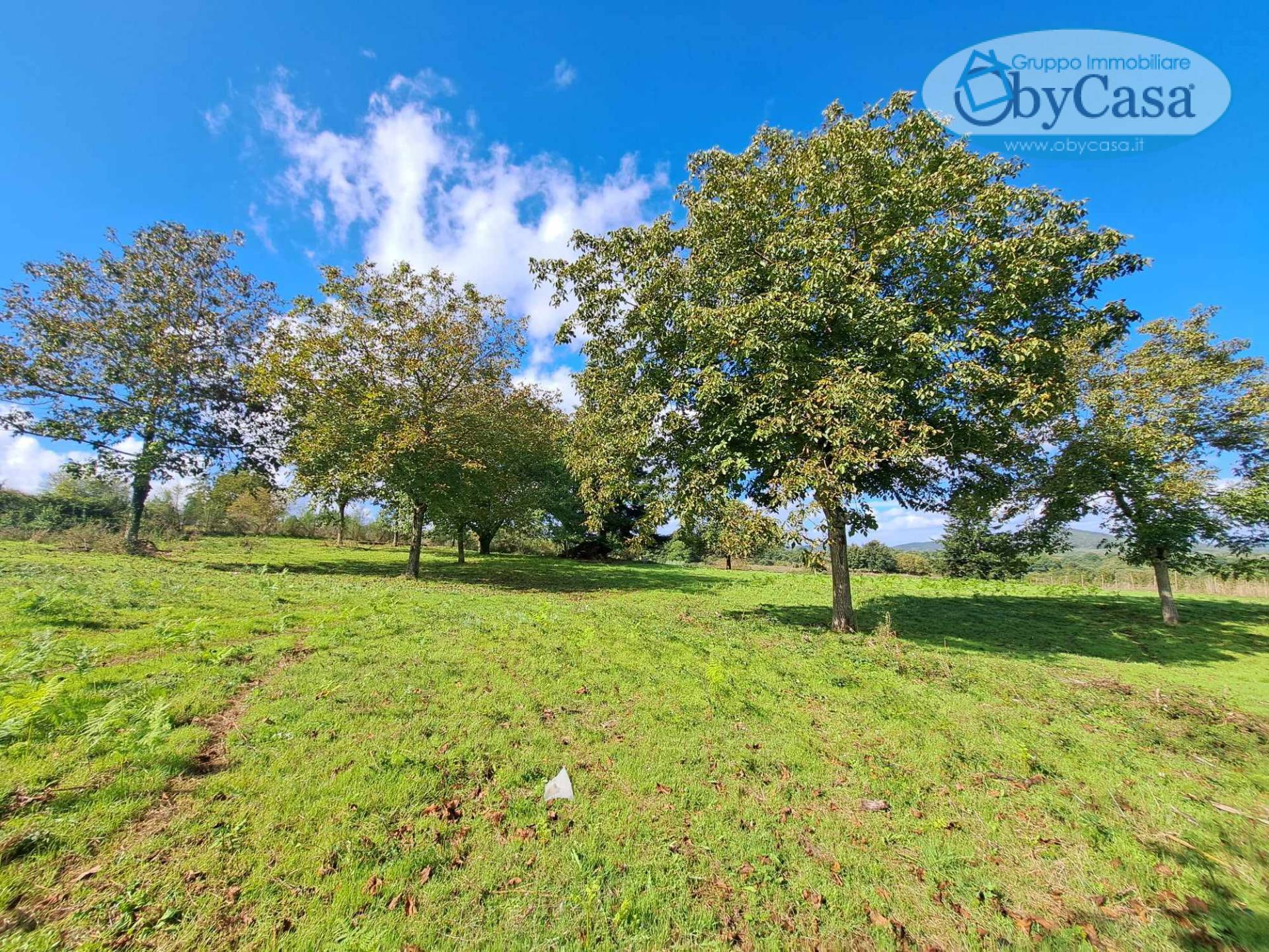 Terreno agricolo in vendita a Oriolo Romano (VT)