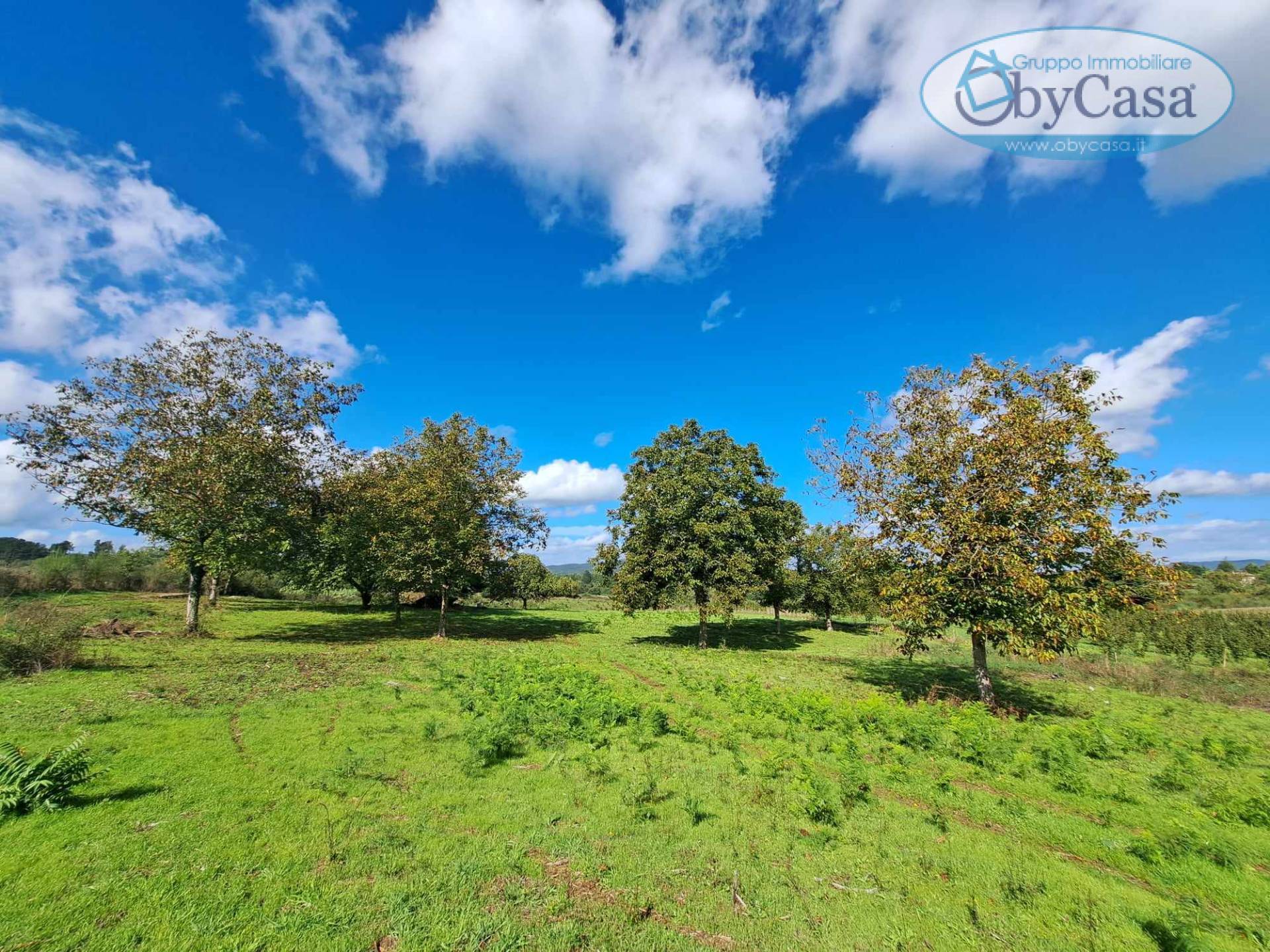 Terreno agricolo in vendita a Oriolo Romano (VT)