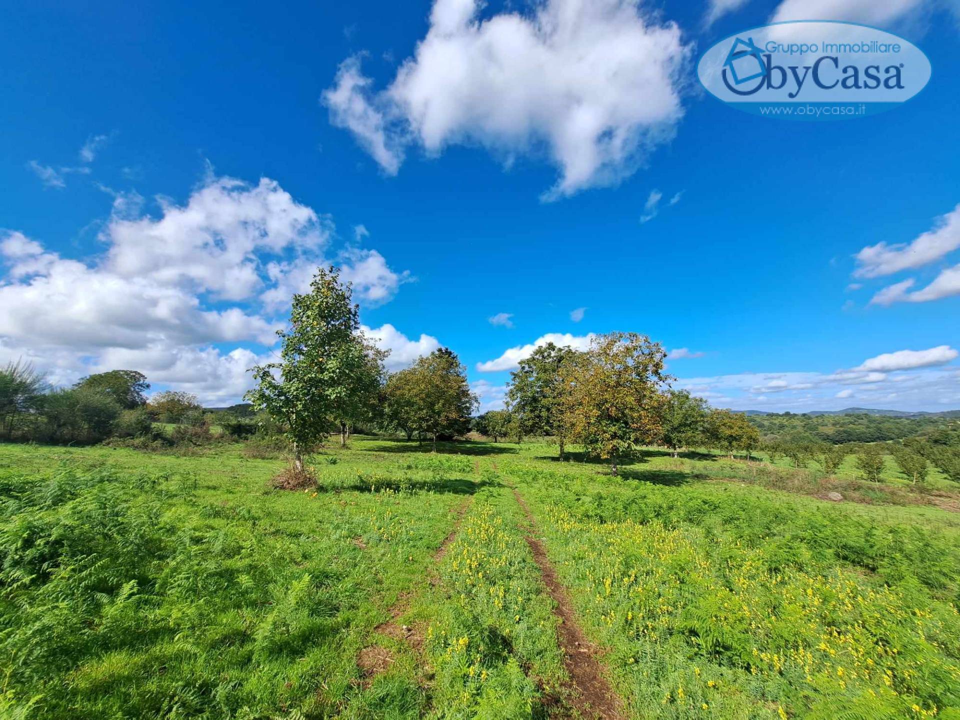 Terreno agricolo in vendita a Oriolo Romano (VT)