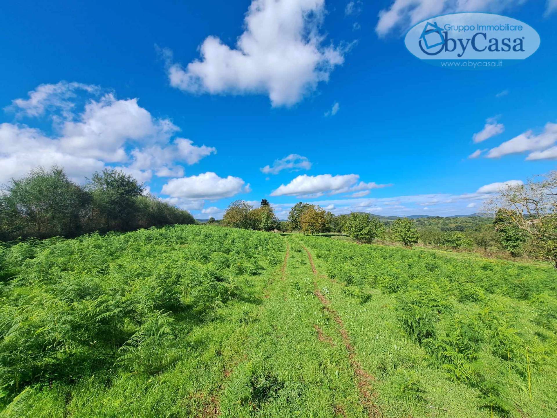 Terreno agricolo in vendita a Oriolo Romano (VT)