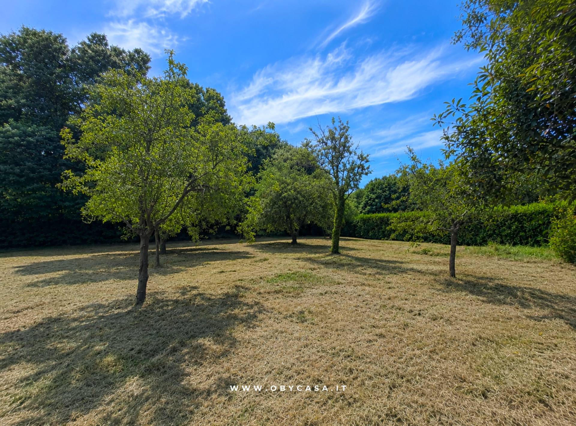 Terreno Agricolo in vendita