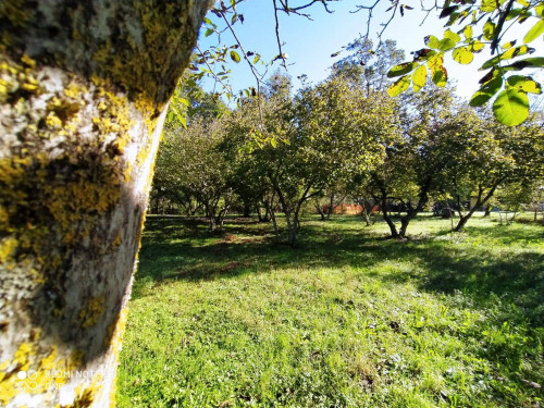 Terreno agricolo in vendita a Manziana (RM)