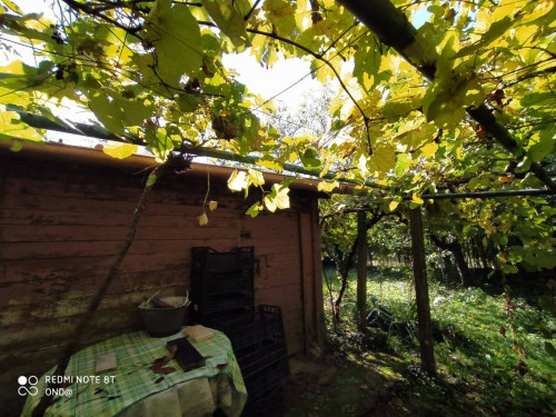 Terreno agricolo in vendita a Manziana (RM)