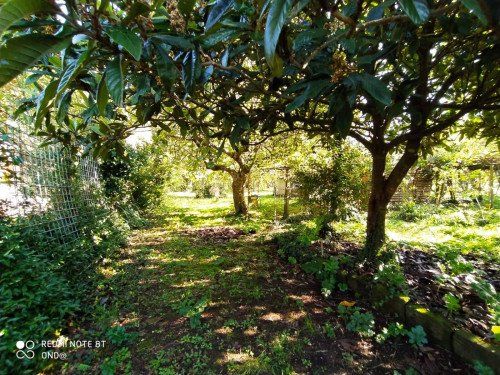 Terreno agricolo in vendita a Manziana (RM)