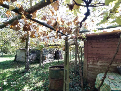 Terreno agricolo in vendita a Manziana (RM)