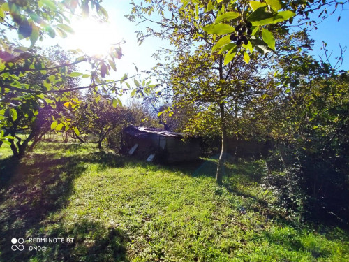 Terreno agricolo in vendita a Manziana (RM)