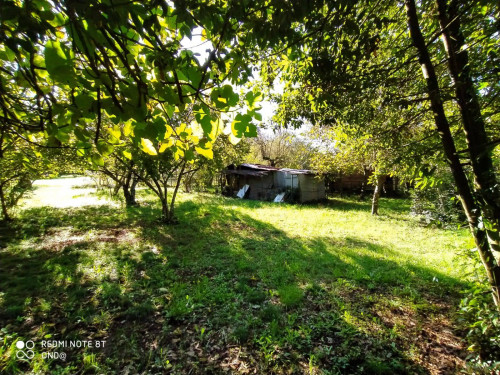 Terreno agricolo in vendita a Manziana (RM)