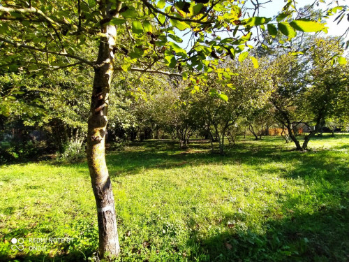 Terreno agricolo in vendita a Manziana (RM)