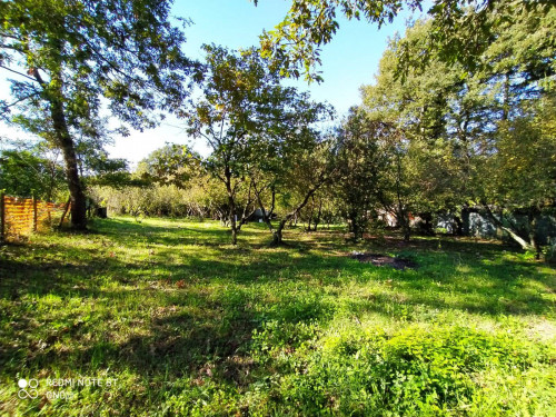 Terreno agricolo in vendita a Manziana (RM)