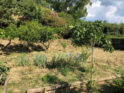 Terreno agricolo in vendita a Santa Marinella (RM)