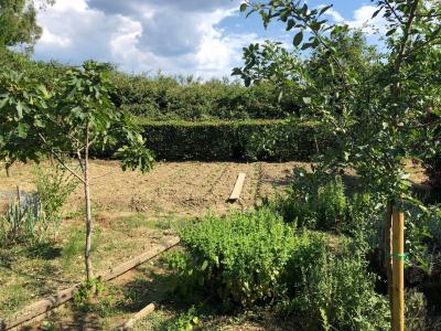 Terreno agricolo in vendita a Santa Marinella (RM)