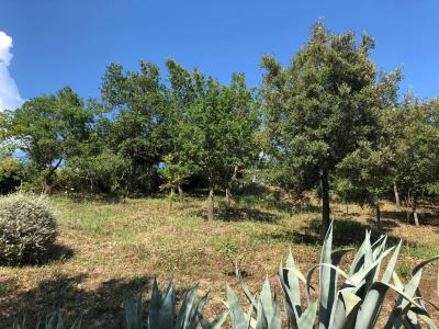 Terreno agricolo in vendita a Santa Marinella (RM)