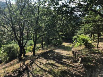 Terreno agricolo in vendita a Santa Marinella (RM)