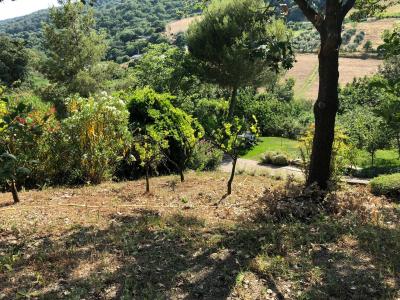 Terreno agricolo in vendita a Santa Marinella (RM)