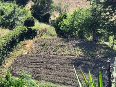 Terreno agricolo in vendita a Santa Marinella (RM)