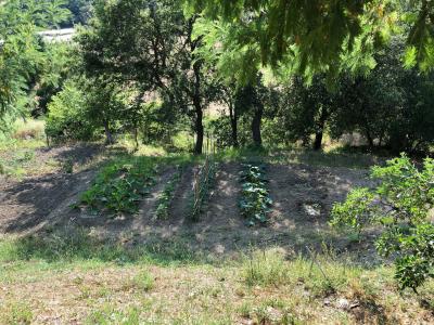 Terreno agricolo in vendita a Santa Marinella (RM)