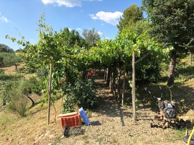 Terreno agricolo in vendita a Santa Marinella (RM)