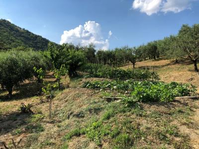 Terreno agricolo in vendita a Santa Marinella (RM)